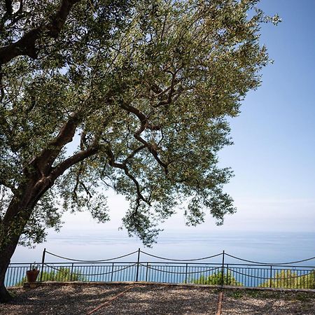 Apartmán La Casa Del Maestro Attico Pisciotta Exteriér fotografie