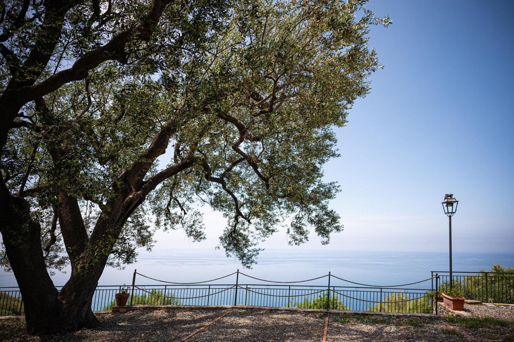 Apartmán La Casa Del Maestro Attico Pisciotta Exteriér fotografie