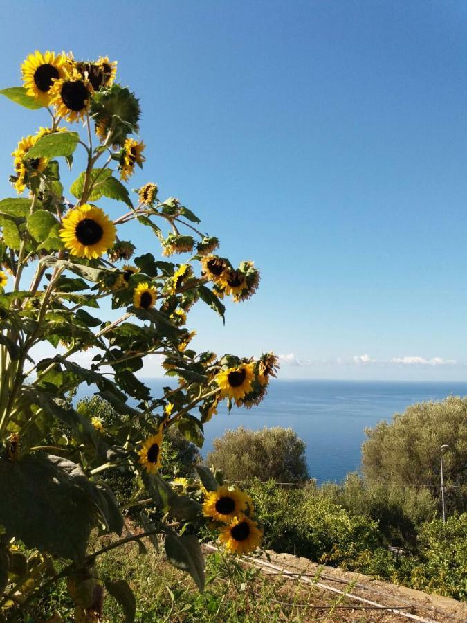 Apartmán La Casa Del Maestro Attico Pisciotta Exteriér fotografie