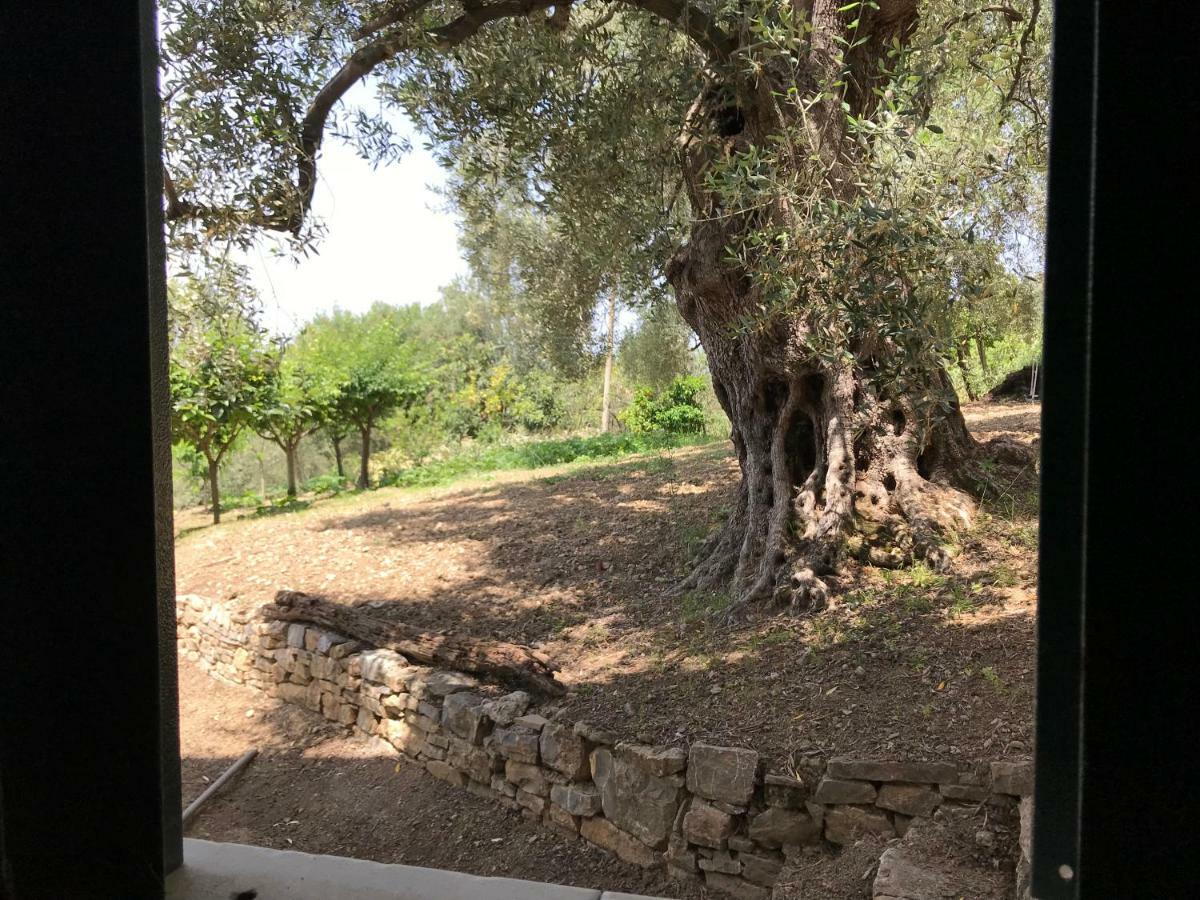Apartmán La Casa Del Maestro Attico Pisciotta Exteriér fotografie