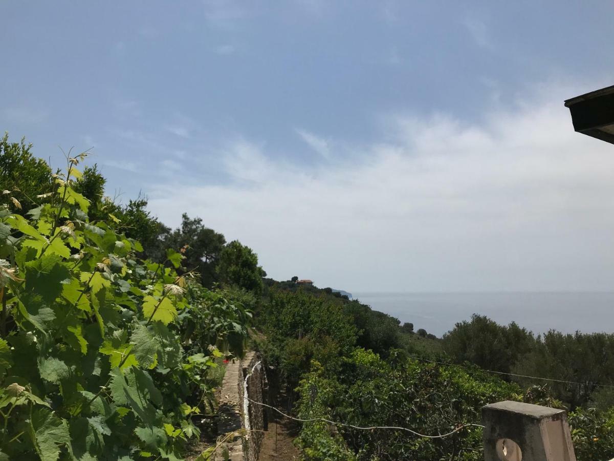 Apartmán La Casa Del Maestro Attico Pisciotta Exteriér fotografie