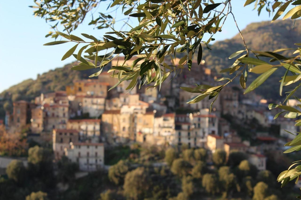Apartmán La Casa Del Maestro Attico Pisciotta Exteriér fotografie